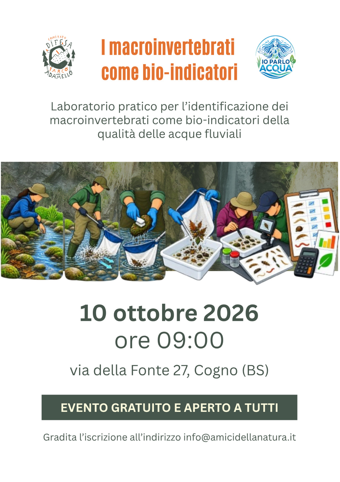 I macroinvertebrati come bio-indicatori